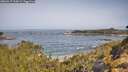 ./images/calvert/foggy-cove/20260517/foggy-cove20260517_100001M.jpg