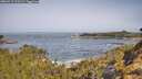 ./images/calvert/foggy-cove/20260517/foggy-cove20260517_100501M.jpg