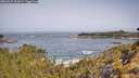 ./images/calvert/foggy-cove/20260517/foggy-cove20260517_102001M.jpg
