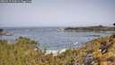 ./images/calvert/foggy-cove/20260517/foggy-cove20260517_103001M.jpg