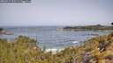 ./images/calvert/foggy-cove/20260517/foggy-cove20260517_103501M.jpg