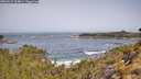 ./images/calvert/foggy-cove/20260517/foggy-cove20260517_104001M.jpg