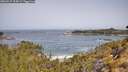 ./images/calvert/foggy-cove/20260517/foggy-cove20260517_104501M.jpg