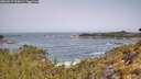./images/calvert/foggy-cove/20260517/foggy-cove20260517_105001M.jpg
