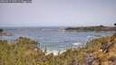 ./images/calvert/foggy-cove/20260517/foggy-cove20260517_105501M.jpg