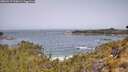 ./images/calvert/foggy-cove/20260517/foggy-cove20260517_110002M.jpg