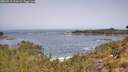 ./images/calvert/foggy-cove/20260517/foggy-cove20260517_111001M.jpg