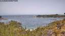 ./images/calvert/foggy-cove/20260517/foggy-cove20260517_111501M.jpg