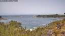 ./images/calvert/foggy-cove/20260517/foggy-cove20260517_112001M.jpg