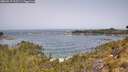 ./images/calvert/foggy-cove/20260517/foggy-cove20260517_112501M.jpg