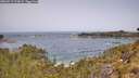 ./images/calvert/foggy-cove/20260517/foggy-cove20260517_113001M.jpg