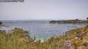 ./images/calvert/foggy-cove/20260517/foggy-cove20260517_113501M.jpg