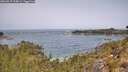 ./images/calvert/foggy-cove/20260517/foggy-cove20260517_114001M.jpg