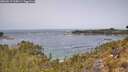 ./images/calvert/foggy-cove/20260517/foggy-cove20260517_115001M.jpg