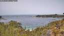 ./images/calvert/foggy-cove/20260517/foggy-cove20260517_115501M.jpg