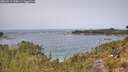 ./images/calvert/foggy-cove/20260517/foggy-cove20260517_120001M.jpg