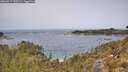 ./images/calvert/foggy-cove/20260517/foggy-cove20260517_120501M.jpg