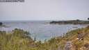 ./images/calvert/foggy-cove/20260517/foggy-cove20260517_121001M.jpg