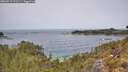 ./images/calvert/foggy-cove/20260517/foggy-cove20260517_121501M.jpg