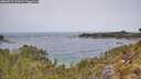 ./images/calvert/foggy-cove/20260517/foggy-cove20260517_122001M.jpg