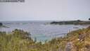 ./images/calvert/foggy-cove/20260517/foggy-cove20260517_122501M.jpg