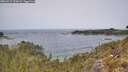 ./images/calvert/foggy-cove/20260517/foggy-cove20260517_123001M.jpg