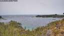 ./images/calvert/foggy-cove/20260517/foggy-cove20260517_124002M.jpg