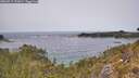 ./images/calvert/foggy-cove/20260517/foggy-cove20260517_131001M.jpg