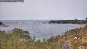 ./images/calvert/foggy-cove/20260517/foggy-cove20260517_132001M.jpg