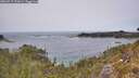 ./images/calvert/foggy-cove/20260517/foggy-cove20260517_133001M.jpg
