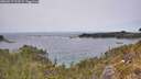 ./images/calvert/foggy-cove/20260517/foggy-cove20260517_133501M.jpg
