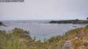 ./images/calvert/foggy-cove/20260517/foggy-cove20260517_134501M.jpg
