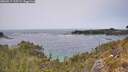 ./images/calvert/foggy-cove/20260517/foggy-cove20260517_135501M.jpg