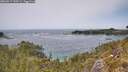 ./images/calvert/foggy-cove/20260517/foggy-cove20260517_140501M.jpg