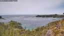 ./images/calvert/foggy-cove/20260517/foggy-cove20260517_141001M.jpg