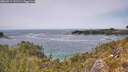 ./images/calvert/foggy-cove/20260517/foggy-cove20260517_141501M.jpg