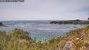 ./images/calvert/foggy-cove/20260517/foggy-cove20260517_142001M.jpg