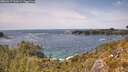 ./images/calvert/foggy-cove/20260517/foggy-cove20260517_144501M.jpg