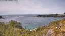 ./images/calvert/foggy-cove/20260517/foggy-cove20260517_145501M.jpg