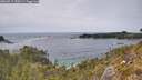 ./images/calvert/foggy-cove/20260517/foggy-cove20260517_150501M.jpg