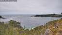./images/calvert/foggy-cove/20260517/foggy-cove20260517_151001M.jpg