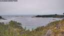 ./images/calvert/foggy-cove/20260517/foggy-cove20260517_160501M.jpg