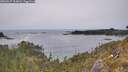 ./images/calvert/foggy-cove/20260517/foggy-cove20260517_161001M.jpg