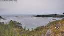 ./images/calvert/foggy-cove/20260517/foggy-cove20260517_162001M.jpg