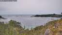 ./images/calvert/foggy-cove/20260517/foggy-cove20260517_162501M.jpg