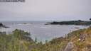 ./images/calvert/foggy-cove/20260517/foggy-cove20260517_163501M.jpg