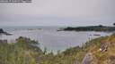./images/calvert/foggy-cove/20260517/foggy-cove20260517_164501M.jpg