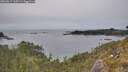 ./images/calvert/foggy-cove/20260517/foggy-cove20260517_165501M.jpg