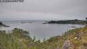 ./images/calvert/foggy-cove/20260517/foggy-cove20260517_172002M.jpg