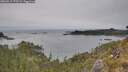 ./images/calvert/foggy-cove/20260517/foggy-cove20260517_172501M.jpg
